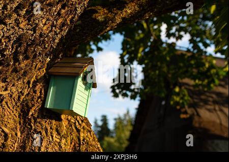 Semaine nationale des nichoirs. Jour des oiseaux. Heure du printemps. Vieille boîte de nid colorée dans l'arbre sur la lumière du coucher de soleil. Petits oiseaux. Nature. Journée mondiale de l'environnement. Lituanie Banque D'Images