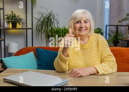 J'aime. Heureuse femme âgée excitée regardant avec approbation à la caméra montrer les pouces vers le haut comme signe positif quelque chose de bonnes bonnes nouvelles, des commentaires positifs à la maison à l'intérieur. Une grand-mère âgée souriante est assise à table Banque D'Images