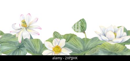 Fleurs de lotus blanc florissant avec des feuilles. Bourgeons de nénuphar et gousses de graines, lotus indien, feuille verte. Illustration aquarelle. Bannière horizontale sans couture Banque D'Images