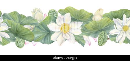 Fleurs de lotus blanches et roses en fleurs. Fleurs et feuilles. Arrosez les bourgeons de nénuphar et les gousses de graines. Lotus indien, feuille verte. Illustration aquarelle. Banque D'Images