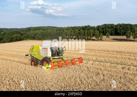 Getreideernte - Claas Mähdrescher im warmen Licht der Abendsonne, Luftbild. BEI gutem Wetter sind die Mähdrescher oftmals bis in die Dunkelheit auf dem Feld im Einsatz. Solange die Getreidefeuchtigkeit im niedrigen Bereich verweilt, wird jede minute genutzt, um die Ernte einzufahren. Was nach Idylle und Romantik aussieht - ist in der Realität harte und zeitweise auch staubige Arbeit - die in der Erntesaison dann auch nicht selten über 15 bis 16 Stunden am Stück verrichtet wird. Région Weser-EMS Niedersachsen *** récolte de grains moissonneuse-batteuse Claas dans la lumière chaude du soleil du soir, aérienne Banque D'Images