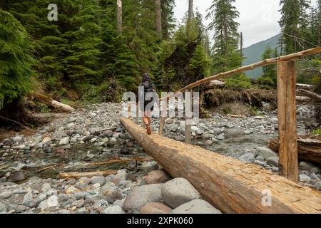 Hiker in Rain Gear traverse le tout nouveau Log Bridge le long de la rivière Carbon dans le parc national de Mount Rainier Banque D'Images