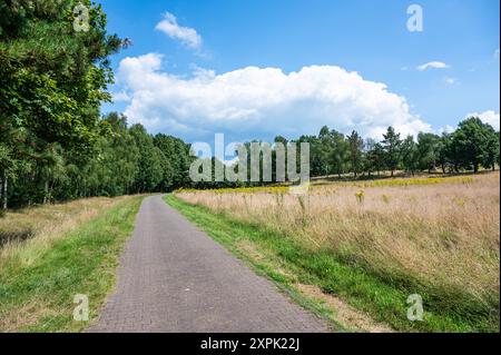 Route de campagne asphaltée à travers les prairies autour de Geeste-Dalum, basse-Saxe, Allemagne Banque D'Images