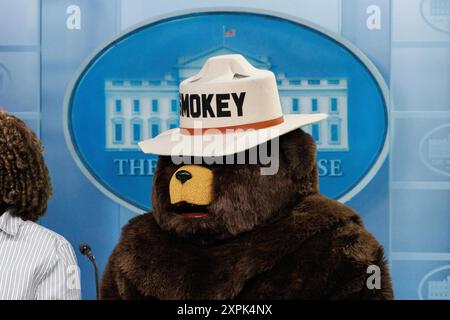 Washington, États-Unis. 06 août 2024. Smokey the Bear pose pour des photos dans la salle de conférence de presse de la Maison Blanche. Smokey fête son 80e anniversaire le 9 août. (Photo de Aaron Schwartz/Pool/ABACAPRESS. COM) crédit : Abaca Press/Alamy Live News Banque D'Images