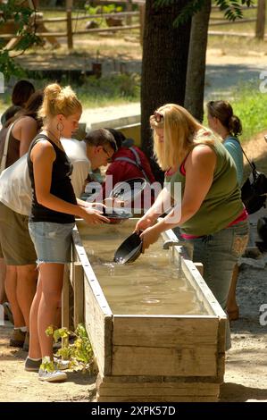 Gold Panning, Columbia State Historic Park, Columbia, Gold Country, Californie, États-Unis d'Amérique Banque D'Images