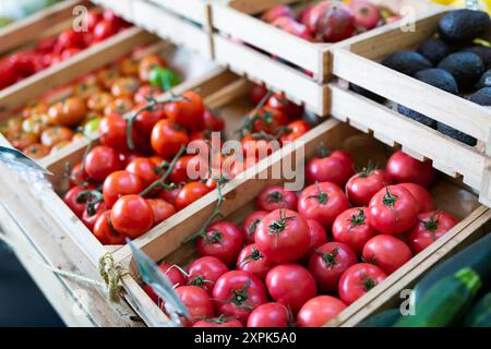 Récolte de tomates mûres de différentes variétés en caisses sur le comptoir Banque D'Images