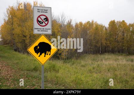 Panneau de signalisation signalant que le bison des plaines se promène dans le parc national Elk Island en Alberta au Canada. Banque D'Images