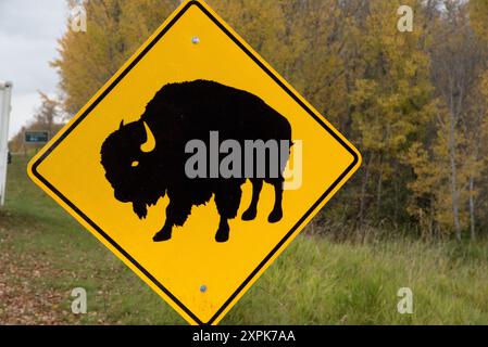 Panneau de signalisation signalant que le bison des plaines se promène dans le parc national Elk Island en Alberta au Canada. Banque D'Images