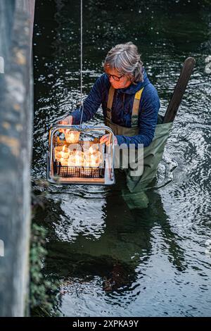 Salisbury, Wiltshire, Royaume-Uni, 6 août 2024. Campagne pour le désarmement nucléaire chandelles flottant reflétant la coutume japonaise des lanternes flottantes à la mémoire des morts. En souvenir de plus de 340 000 personnes qui sont mortes à la suite des bombes atomiques larguées sur Hiroshima et Nagasaki en août 1945, ainsi que de celles qui ont péri à la suite de tout le cycle nucléaire. Le flotteur de bougie comprenait des lanternes décorées par des enfants du lycée Kyoso à Hiroshima, au Japon, dans le cadre d'un engagement conjoint avec la CND pour débarrasser le monde des armes nucléaires. Crédit John Rose/Alamy Live News Banque D'Images