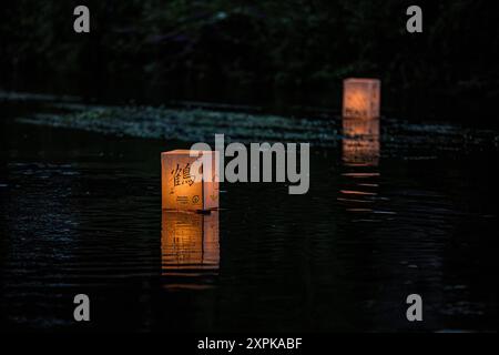 Salisbury, Wiltshire, Royaume-Uni, 6 août 2024. Campagne pour le désarmement nucléaire chandelles flottant reflétant la coutume japonaise des lanternes flottantes à la mémoire des morts. En souvenir de plus de 340 000 personnes qui sont mortes à la suite des bombes atomiques larguées sur Hiroshima et Nagasaki en août 1945, ainsi que de celles qui ont péri à la suite de tout le cycle nucléaire. Le flotteur de bougie comprenait des lanternes décorées par des enfants du lycée Kyoso à Hiroshima, au Japon, dans le cadre d'un engagement conjoint avec la CND pour débarrasser le monde des armes nucléaires. Crédit John Rose/Alamy Live News Banque D'Images