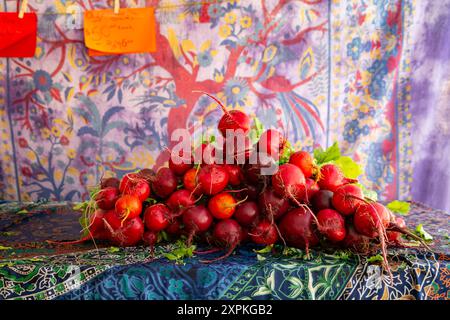 Gros plan d'un bouquet de betteraves au marché agricole de Trout Lake, Colombie-Britannique, Canada Banque D'Images