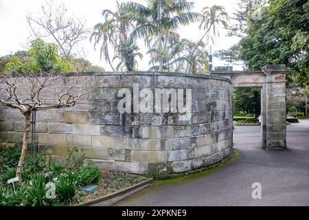 Mur de Macquarie dans les jardins botaniques royaux, construit en 1810 par le gouverneur Macquarie pour séparer les terres du gouvernement de la ville de Sydney, en Australie Banque D'Images