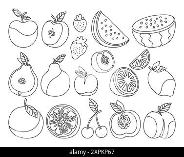 Ensemble de dessins animés de fruits ou de baies Doodle. Tranchées citrus linéaire citron orange, pomme, poire, pastèque pêche fruits, trendy contour décroché Doodle de cerise aux prunes et aux fraises juteuses dessinée. Illustration vectorielle vegan Illustration de Vecteur