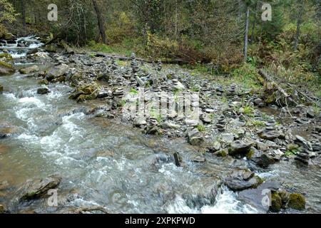 Un petit ruisseau ruisselant coule des montagnes, se pliant autour des pierres dans son lit à travers une forêt nuageuse d'automne. Rivière Theveneck (Third River), Alb Banque D'Images