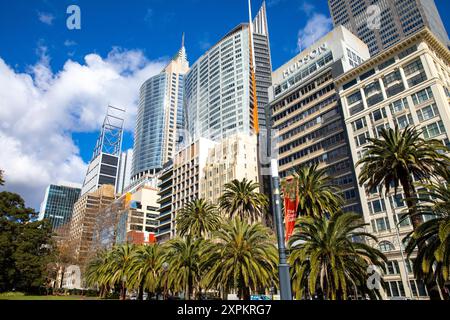 Centre-ville de Sydney, palmiers et gratte-ciel de bureaux le long de Macquarie Street avec Deutsche Bank place et Chifley Tower, Sydney CBD, Australie Banque D'Images