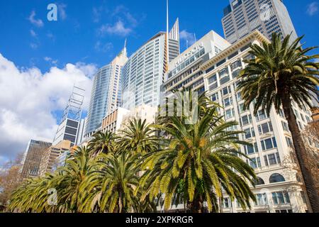 Centre-ville de Sydney, palmiers et gratte-ciel de bureaux le long de Macquarie Street avec Deutsche Bank place et Chifley Tower, Sydney CBD, Australie Banque D'Images