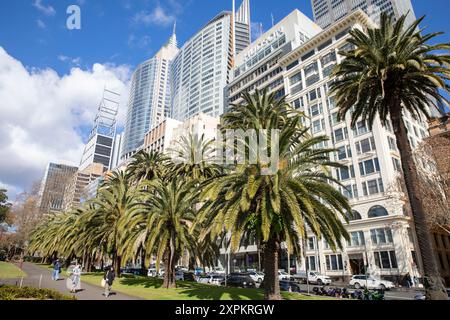 Centre-ville de Sydney, palmiers et gratte-ciel de bureaux le long de Macquarie Street avec Deutsche Bank place et Chifley Tower, Sydney CBD, Australie Banque D'Images