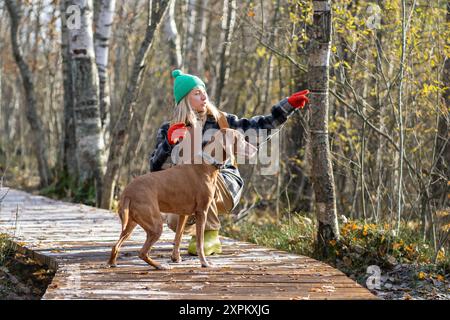 Randonneur féminin sérieux, chien de chasse vigilant ensemble dans les bois de forêt naturelle sur le sentier écologique en bois. Banque D'Images