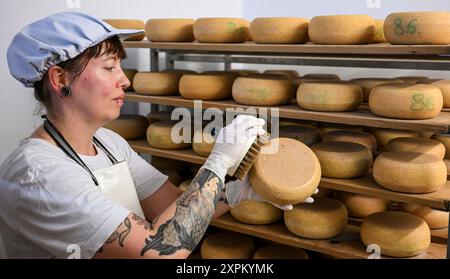 Kremmen, Allemagne. 05 août 2024. La fermière Sarah Spindler se tient dans la salle d'affinage de la fromagerie de chèvre Karolinenhof parmi les différents types de fromage. La ferme de chèvres, qui compte maintenant 100 chèvres, est ici depuis 1992 et produit 20 types différents de produits laitiers et de fromage frais à partir de 100 pour cent de lait de chèvre dans sa propre fromagerie. Des gâteaux, des fruits et légumes frais sont également vendus ici. Les produits sont vendus exclusivement dans le magasin de la ferme et le café de prairie associé. Crédit : Jens Kalaene/dpa/Alamy Live News Banque D'Images