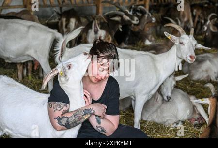 Kremmen, Allemagne. 05 août 2024. La fermière Sarah Spindler s’occupe de ses 100 chèvres dans la fromagerie de chèvre Karolinenhof. La ferme de chèvres est ici depuis 1992 et produit 20 types différents de produits laitiers et de fromage frais à partir de 100 pour cent de lait de chèvre dans sa propre fromagerie. Des gâteaux, des fruits et légumes frais sont également vendus ici. Les produits sont vendus exclusivement dans le magasin de la ferme et le café de prairie associé. Crédit : Jens Kalaene/dpa/Alamy Live News Banque D'Images