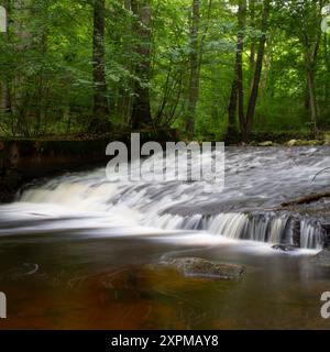 Harz Blick AM 2. Juni 2024 in das Grüne Ilsetal mit dem Fluss Ilse BEI Ilsenburg im Harz. Harz Sachsen-Anhalt Deutschland FH0A7217 *** Harz Mountains vue le 2 juin 2024 dans la vallée verte de l'Ilse avec la rivière Ilse près d'Ilsenburg dans les montagnes du Harz Harz Saxe Anhalt Allemagne FH0A7217 Banque D'Images
