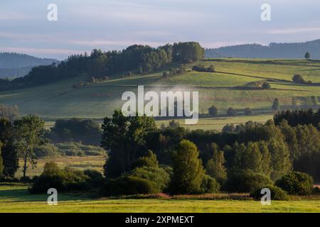 Zelnava, République tchèque. 07 août 2024. Brouillard matinal sur la vallée de la Vltava près de Zelnava à Prachatice, Parc National de Sumava, 7 août 2024. Les températures étaient autour de 10 degrés à Sumava le matin. Crédit : Vaclav Pancer/CTK photo/Alamy Live News Banque D'Images