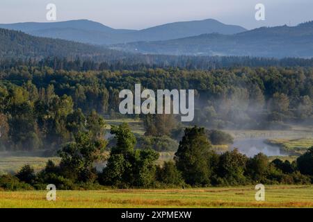 Zelnava, République tchèque. 07 août 2024. Brouillard matinal sur la vallée de la Vltava près de Zelnava à Prachatice, Parc National de Sumava, 7 août 2024. Les températures étaient autour de 10 degrés à Sumava le matin. Crédit : Vaclav Pancer/CTK photo/Alamy Live News Banque D'Images