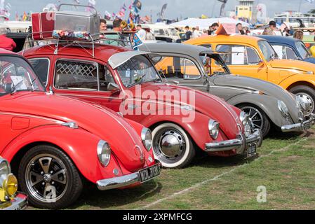 Rangée de coléoptères Volkswagen à un festival VW Dub à Portsmouth. Août 2024. Banque D'Images