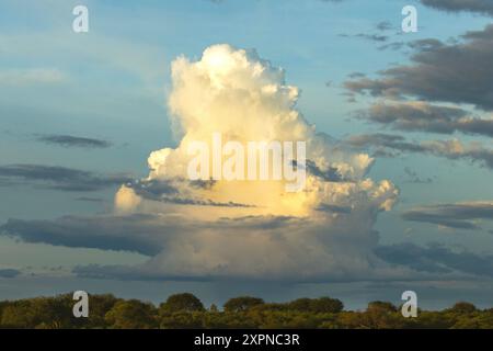 Un cumulonimbus s'est développé pendant la chaleur de la journée et la pluie commence à tomber de la base sombre du nuage. Ceux-ci produisent de lourdes averses localisées Banque D'Images