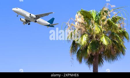 Concept d'idée d'aviation. Palmier et avion de passagers planant sur fond de ciel bleu. Décolle. Vacances et voyages internationaux. À l'étranger. Horizontal. Banque D'Images