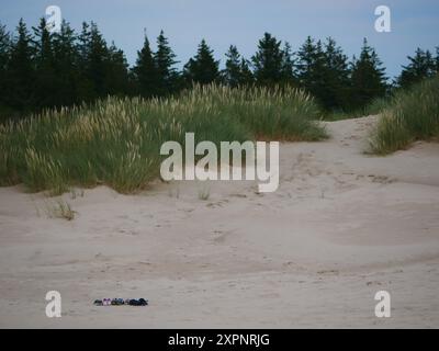 Baskets des touristes debout sur le sable. Rabjerg Mile - dune côtière migrante en mouvement près de Skagen, Danemark. Banque D'Images