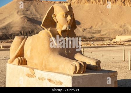 Sculpté dans un bloc de grès, le Sphinx d’Hatshepsout représente la puissance divine associée à ce pharaon. Il se trouve à l'entrée d'elle Banque D'Images