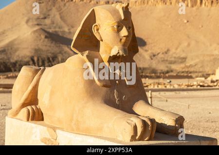 Le Sphinx, symbole de force et de protection, garde l'entrée du temple mortuaire d'Hatshepsout. Situé à Louxor, c'est un témoignage. Banque D'Images