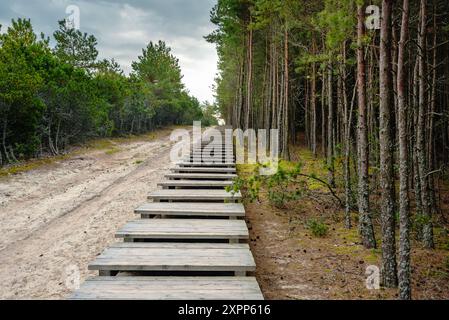 Sentier menant à la plate-forme d'observation sur les dunes d'Olenya Buda avec vue sur le lac des cygnes. Parc national de Curonian Spit. Région de Kaliningrad. Russie Banque D'Images