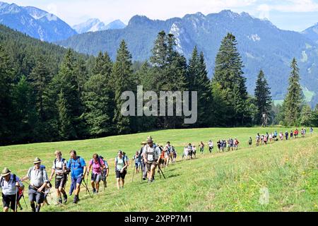 Oberammergau, Allemagne. 07 août 2024. Les participants à l'inspection annuelle principale des pâturages alpins de l'Almwirtschaftlicher Verein Oberbayern traversent une prairie du Labergebiet. Crédit : Uwe Lein/dpa/Alamy Live News Banque D'Images