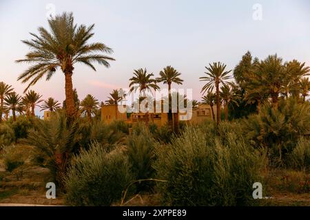 lever de soleil depuis la terrasse du rihab dans le désert du sahara, merzouga Banque D'Images