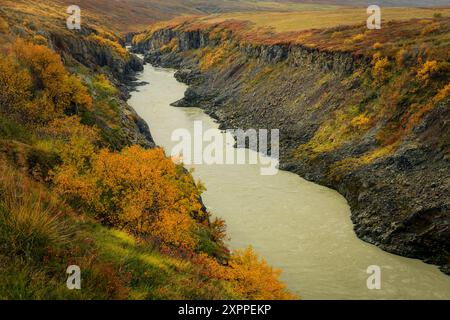 Rivière coulant à travers une gorge en Islande pendant l'automne, belles couleurs Banque D'Images