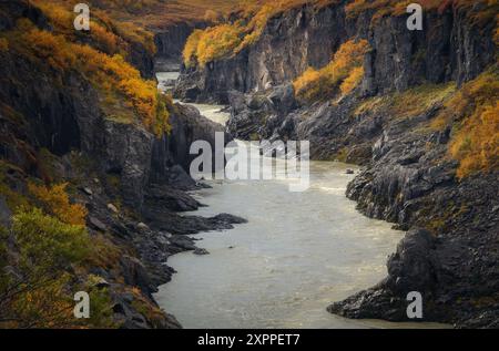 Une rivière qui coule à travers une gorge, un canyon, en Islande, des couleurs d'automne, un joyau caché Banque D'Images