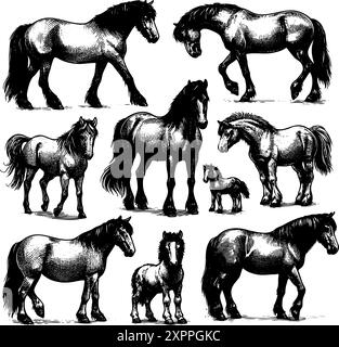 Une série de silhouettes de chevaux en noir et blanc sont présentées dans diverses poses. Les chevaux sont tous de tailles différentes et semblent être debout dans un champ Illustration de Vecteur