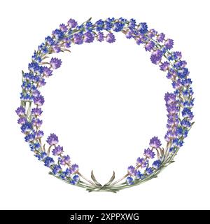 Lavande. Une couronne de lavande. Un cadre rond fait de fleurs violettes. Une illustration d'aquarelle dessinée à la main. Mettez-le en surbrillance. Un élément de la conception de Banque D'Images