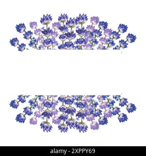 Lavande. Le cadre est en lavande. Le cadre de bordure horizontale est fait de fleurs violettes. Une illustration aquarelle faite à la main. Mettez-le en surbrillance. Banque D'Images