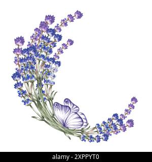 Lavande. Cadre semi-circulaire lavande avec un papillon. Une illustration aquarelle faite à la main. Mettez-le en surbrillance. Un élément de la conception de l'emballage, Banque D'Images