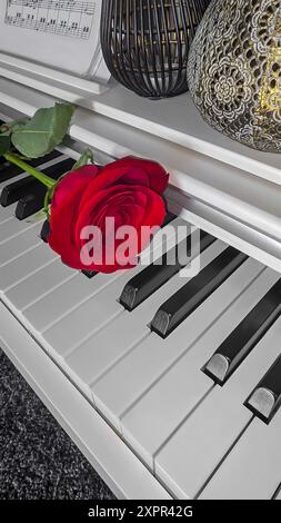 Grande rose rouge repose sur le clavier du piano. Concept de vacances. Cadeau . Copier l'espace Banque D'Images