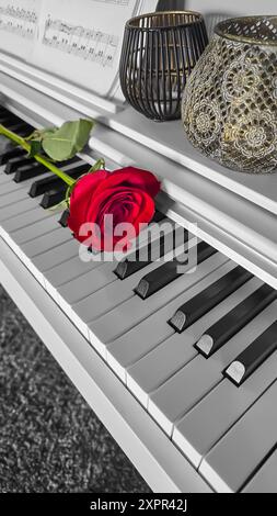 Grande rose rouge repose sur le clavier du piano. Concept de vacances. Cadeau . Copier l'espace Banque D'Images