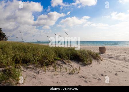 Hollywood Beach Floride USA paysage matinal ensoleillé de la plage et de l'océan Banque D'Images