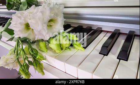 Eustoma blanc et rose se trouve sur le clavier du piano. Concept de vacances. Espace copie cadeau Banque D'Images