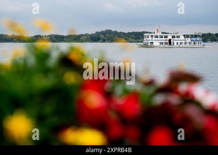 Bad Zwischenahn, Allemagne. 07 août 2024. Le bateau d'excursion 'Ammerland' est en cours sur le Zwischenahner Meer par temps nuageux. La compagnie maritime Herbert Ekkenga AG exploite une flotte de navires à passagers sur la Zwischenahner Meer depuis 1987. Crédit : Hauke-Christian Dittrich/dpa/Alamy Live News Banque D'Images