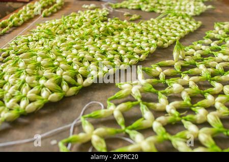 Jasmin Garland porter par la mariée en Indonésie cérémonie de mariage traditionnelle. Fabrication de guirlande de jasmin à partir de bourgeons de jasmin frais. Banque D'Images