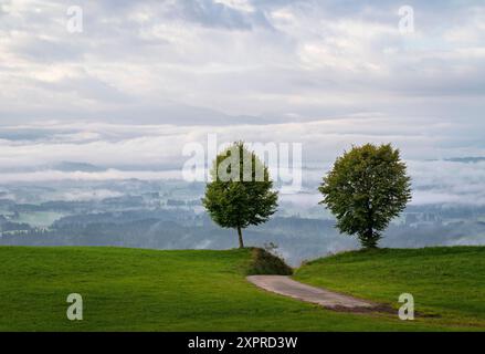 Vue depuis l'Auerberg sur le Allgäu brumeux, Bavière, Allemagne Banque D'Images