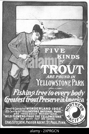 1903 Northern Pacific Railway ad - 5 sortes de pêche à la truite trouvée dans le parc Yellowstone Banque D'Images